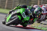 Tom Sykes, ingrandisci la foto