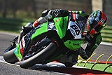 Tom Sykes, ingrandisci la foto